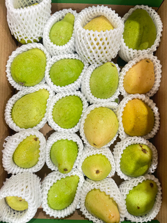 Guayaba Box