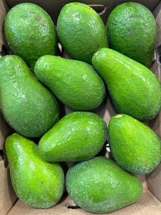 Aguacate Semil